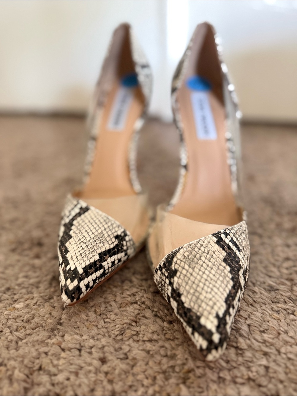 Steve Madden Snake-Print Pointed Toe Pumps - Black & Cream